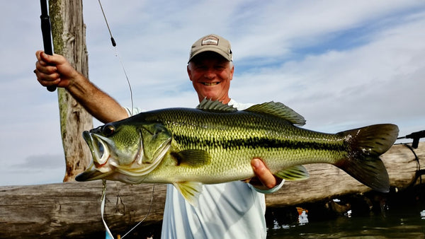 Smiling angler holding up a big largemouth bass with standing timber behind him