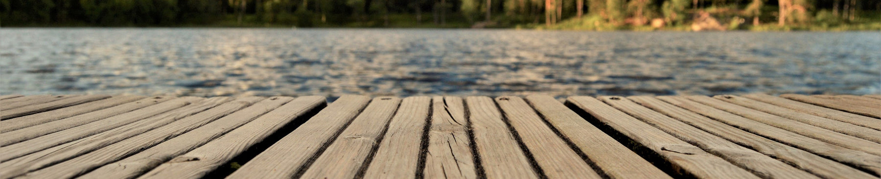 Lewis Smith Lake, AL