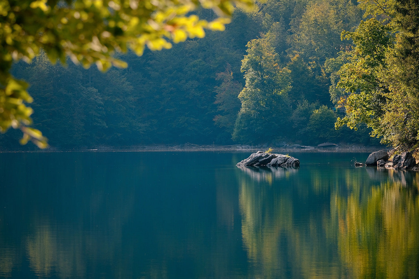 Douglas Lake, TN