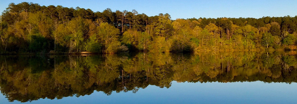 Tims Ford Lake, TN