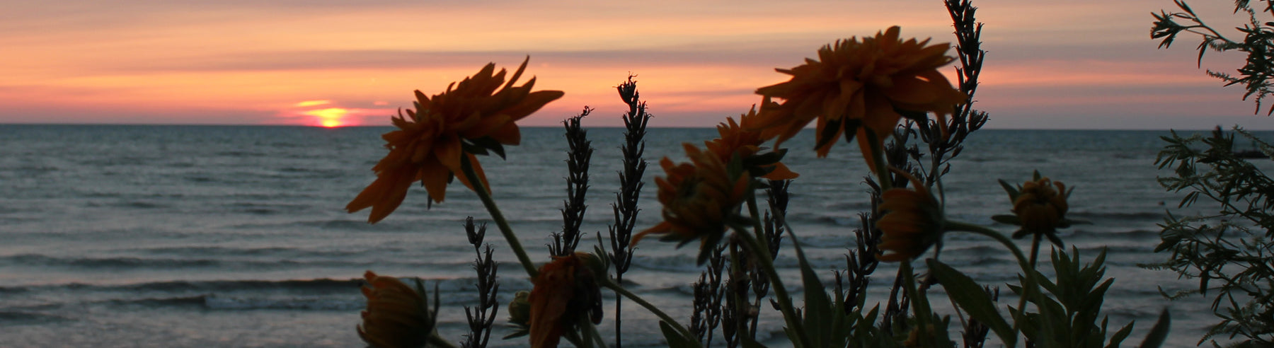 Lake Erie, OH & ON & IN & MI