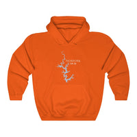 Norfork Hoodie Sweatshirt - Arkansas Lake